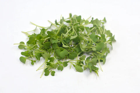 Pakchoi Microgreens 25g