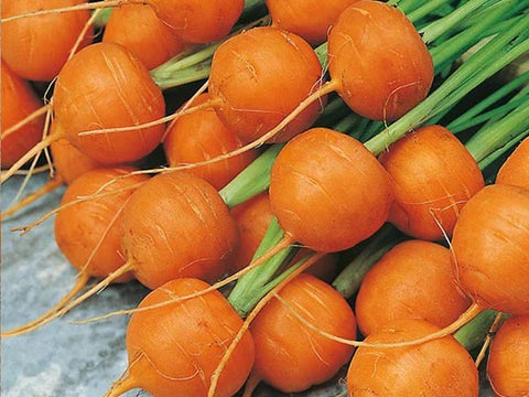 Round Carrots 250g