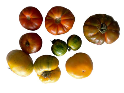 Heirloom Tomatoes 500g