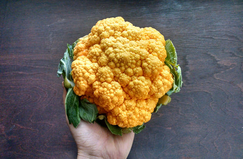 Coloured Orange Cauliflower 1000g