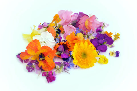 Edible Flowers: Mixed Packet (Packet/20-25 Flowers)