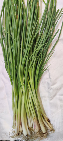 Baby Japanese Bunching Onions 250g