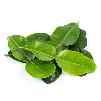 Makroot Leaves/Kaffir Lime Leaves 10g