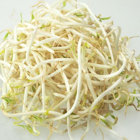 Mung Bean Sprouts 100g