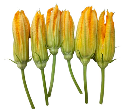 Zucchini flowers 50g