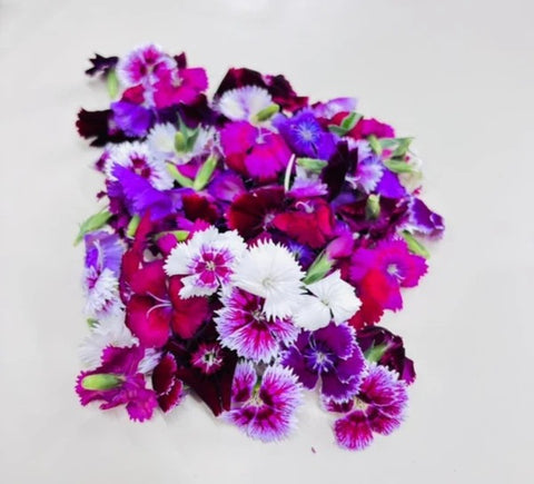 Edible flowers: Dianthus