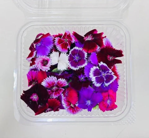 Edible flowers: Dianthus