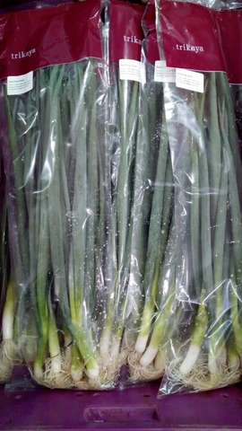 Bunching Onions/Scallions 250g