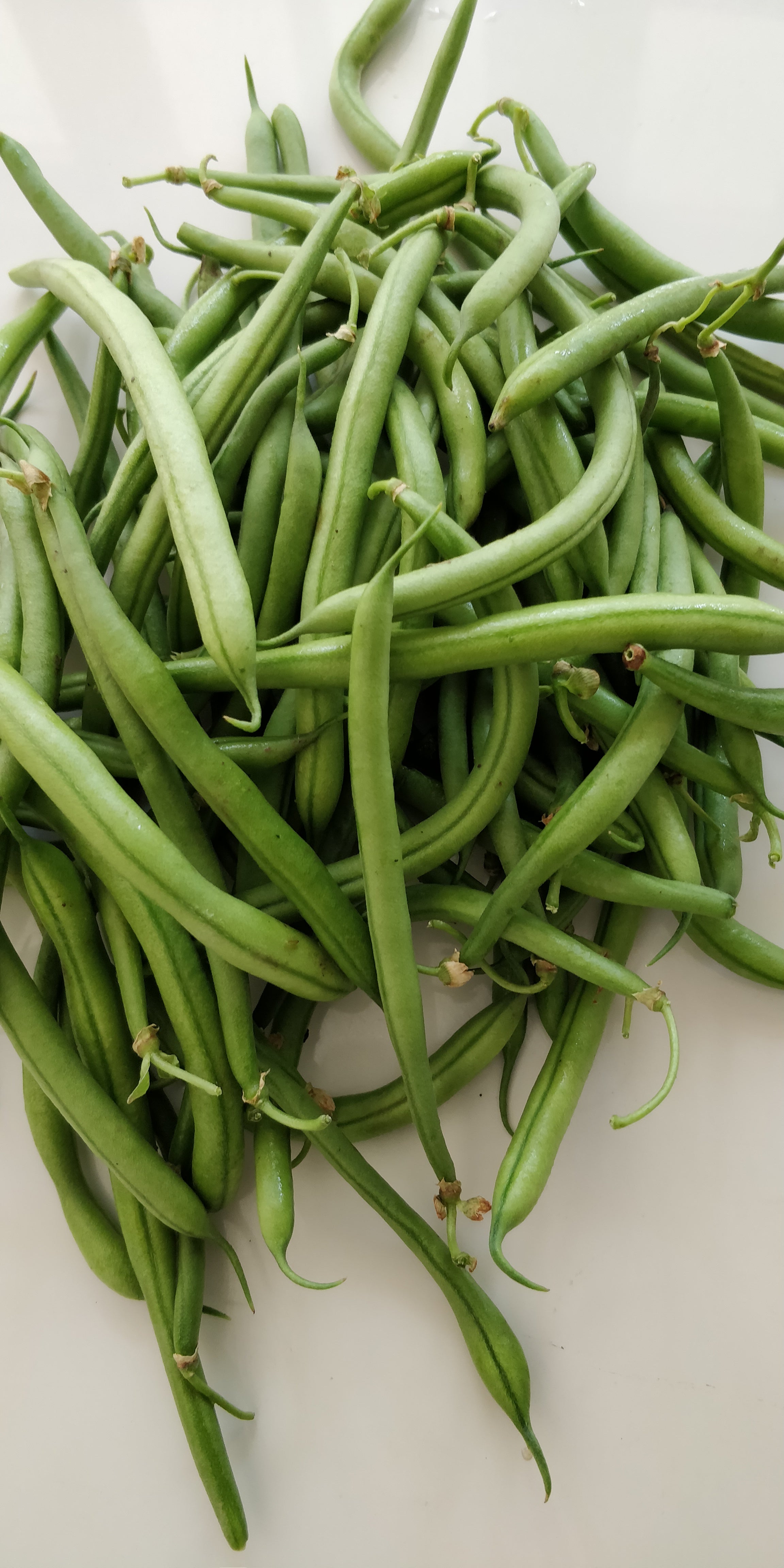 Haricot Verts - Green Beans With a French Flair