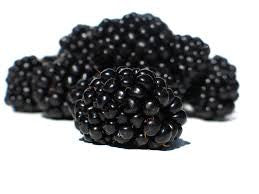 Blackberry Fresh 125g