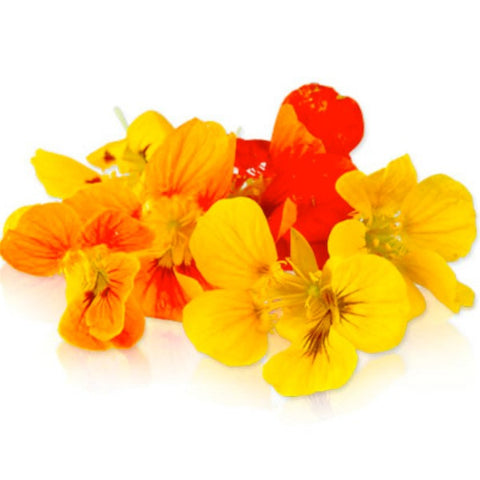 Edible Flowers: Nasturtium (Packet/15-20 Flowers)