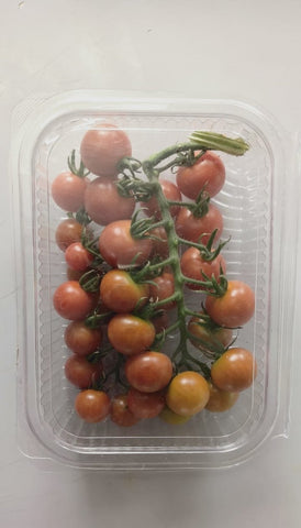Vined Ripened Tomatoes 125g